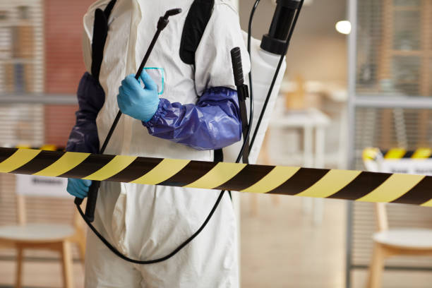 Professional Biohazard Cleanup technician working in Realitos, TX